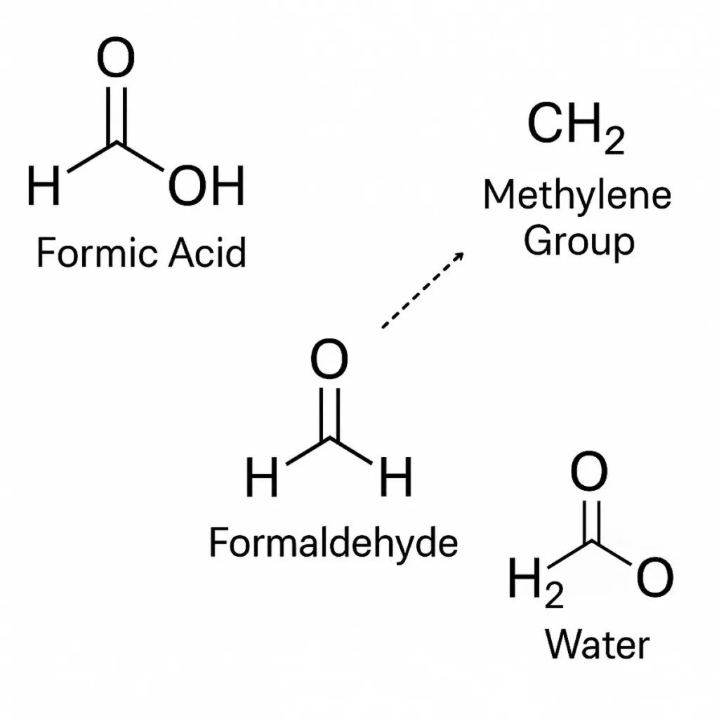 Chemical diagram showing molecular structures of formic acid (HCOOH), methylene group (CH2), formaldehyde (CH2O), and water (H2O), illustrating transformation and reactivity in HCOOH CH2 H2O chemistry.